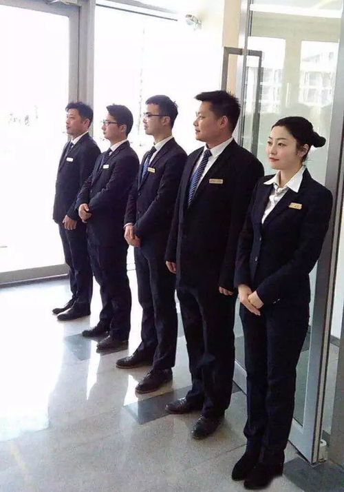 重大会议接待全流程解析 一场精雕细琢的服务交响曲